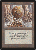 Wooden Sphere (LEB-) - Limited Edition Beta