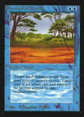 Phantasmal Terrain (IE) (IED-) - Intl. Collectors' Edition