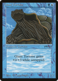 Giant Tortoise (ARN-) - Arabian Nights