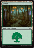 Forest (0286) (DSK-286) - Duskmourn: House of Horror Foil