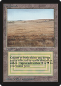 Savannah (LEB-) - Limited Edition Beta