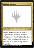 Awoken Nephilim (UNK-RZ11A) - Unknown Event