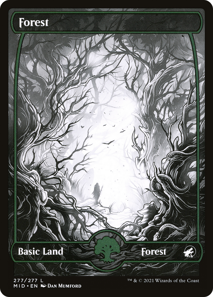 Forest (277) (MID-277) - Innistrad: Midnight Hunt: (Full Art, Showcase) Foil