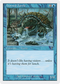 Horned Turtle (7ED-080) - 7th Edition Foil