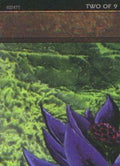 Black Lotus (2 of 9) (Ultra Pro Puzzle Quest) (MEDIA-001) - Media Promos