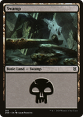 Swamp (ZNR-382) - Zendikar Rising Foil