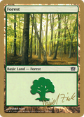 Forest (349) - 2003 Daniel Zink (8ED) (WCD-) - World Championship Decks 2003