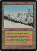 Taiga (FBB-) - Foreign Black Border