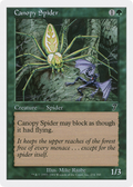 Canopy Spider (7ED-234) - 7th Edition Foil