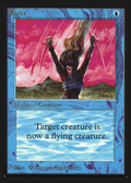 Flight (IED-059) - Intl. Collectors' Edition