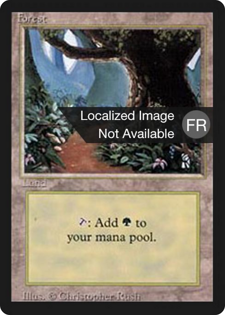 Forest (B) (FBB-286) - Foreign Black Border