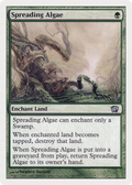 Spreading Algae (8ED-281) - 8th Edition