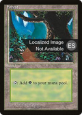 Forest (B) (4BB-175) - Fourth Edition Foreign Black Border