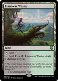 Llanowar Wastes (Ripple Foil) (M3C-354) - Modern Horizons 3 Commander Foil