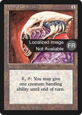 Helm of Chatzuk (FBB-250) - Foreign Black Border