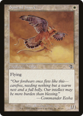 Suntail Hawk (JUD-028) - Judgment