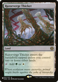 Razorverge Thicket (LIST-ONE-257) - The List Reprints