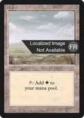 Plains (B) (FBB-294) - Foreign Black Border