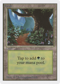 Forest (B) (2ED-) - Unlimited Edition