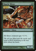 Muscle Sliver (PDS-009) - Premium Deck Series: Slivers Foil