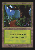 Forest (B) (CE) (CED-281) - Collectors' Edition