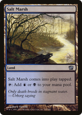 Salt Marsh (8ED-325) - 8th Edition Foil