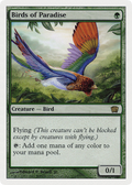 Birds of Paradise (8ED-233) - 8th Edition