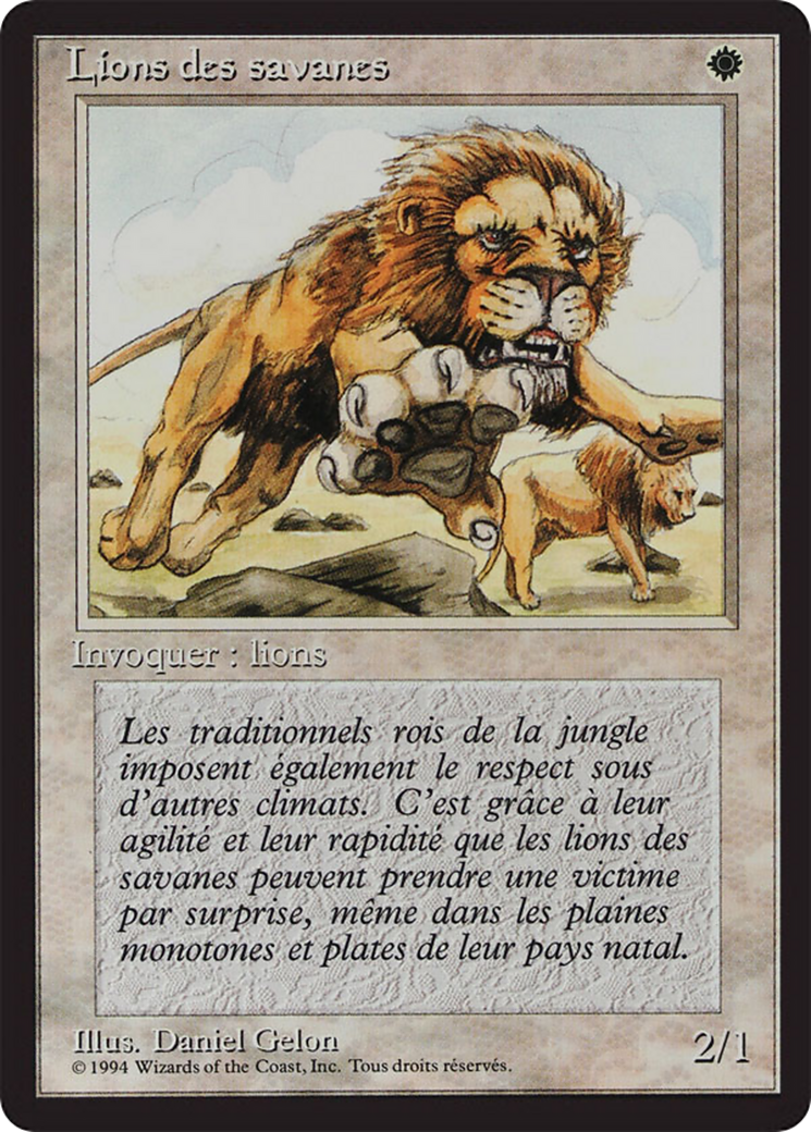 Savannah Lions (FBB-) - Foreign Black Border