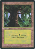 Forest (C) (FBB-285) - Foreign Black Border