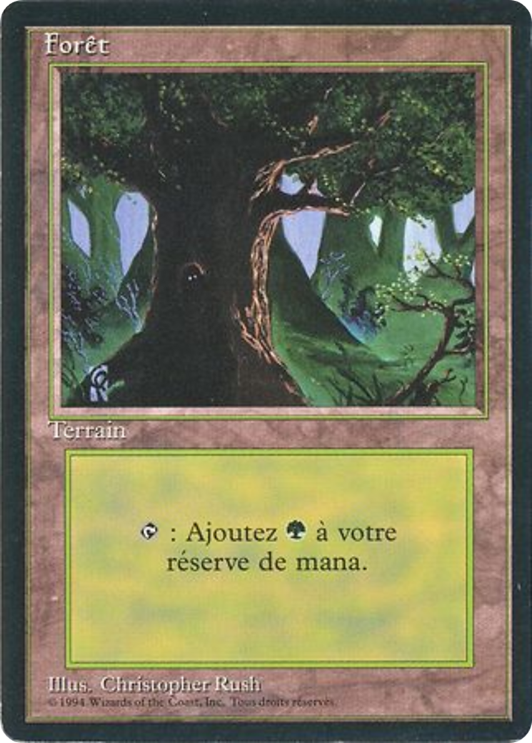 Forest (C) (FBB-285) - Foreign Black Border