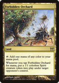 Forbidden Orchard (CHK-276) - Champions of Kamigawa