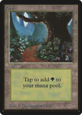 Forest (B) (LEB-) - Limited Edition Beta