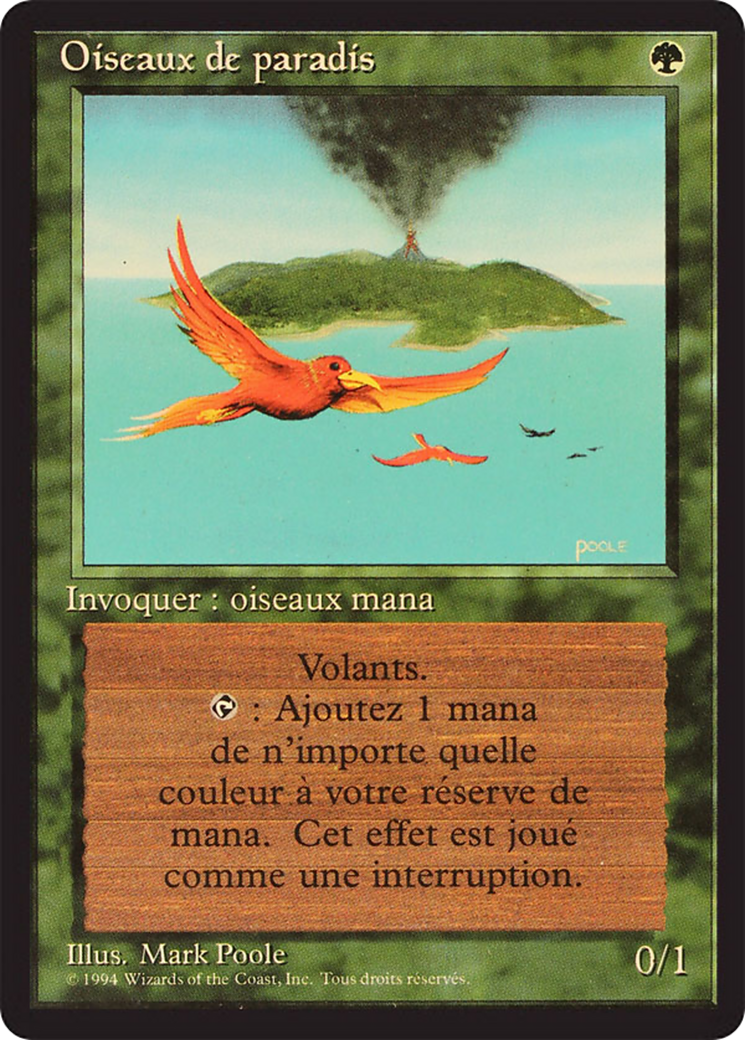 Birds of Paradise (FBB-) - Foreign Black Border