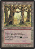 Havenwood Battleground (FEM-) - Fallen Empires