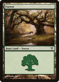 Forest (244) (AVR-244) - Avacyn Restored
