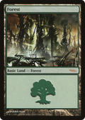 Forest (2004) (ARENA-) - Arena League 2004