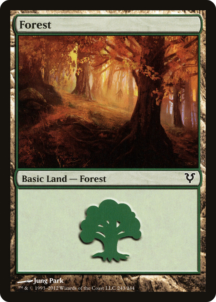 Forest (243) (AVR-243) - Avacyn Restored