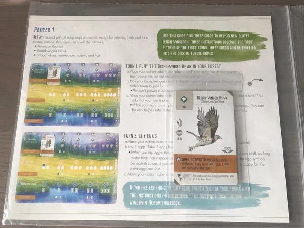 Wingspan: With Swift Start