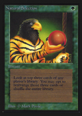 Natural Selection (IE) (IED-213) - Intl. Collectors' Edition