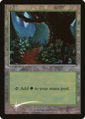 Forest (2001 Beta) (ARENA-) - Arena League 2001 Foil