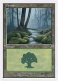 Forest (7ED-328) - 7th Edition