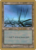 Swamp (339) - 1999 Jakub Slemr (USG) (WCD-) - World Championship Decks 1999