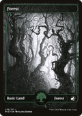 Forest (276) (MID-276) - Innistrad: Midnight Hunt: (Full Art, Showcase) Foil