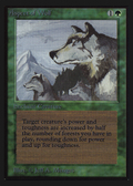 Aspect of Wolf (IE) (IED-) - Intl. Collectors' Edition