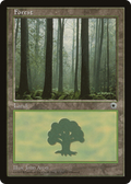 Forest (Ferns on Ground) (POR-) - Portal
