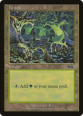 Forest (347) (USG-347) - Urza's Saga