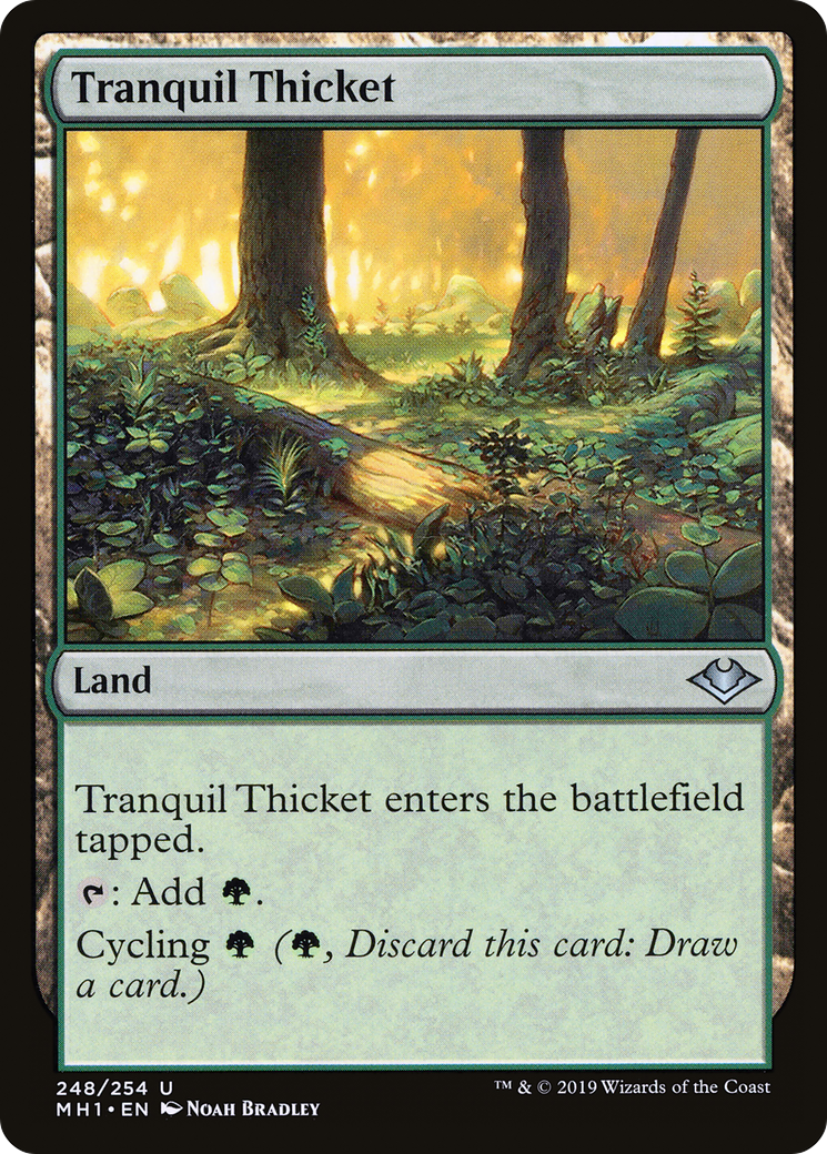Tranquil Thicket (MH1-248) - Modern Horizons