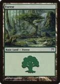 Forest (304) (CHK-304) - Champions of Kamigawa Foil