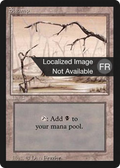 Swamp (B) (FBB-301) - Foreign Black Border