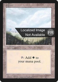 Plains (A) (FBB-293) - Foreign Black Border